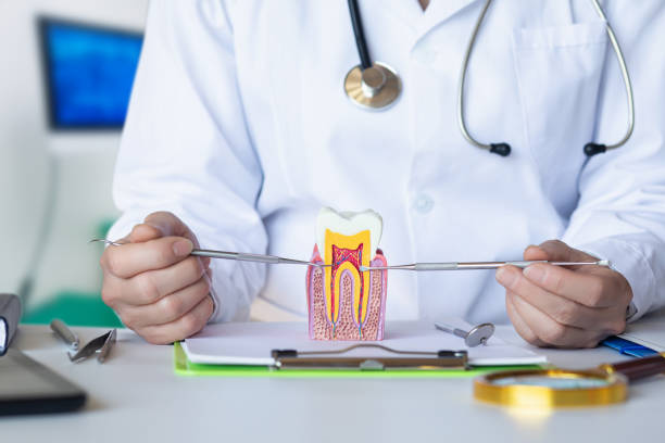 Best Urgent Tooth Repair  in Bonduel, WI